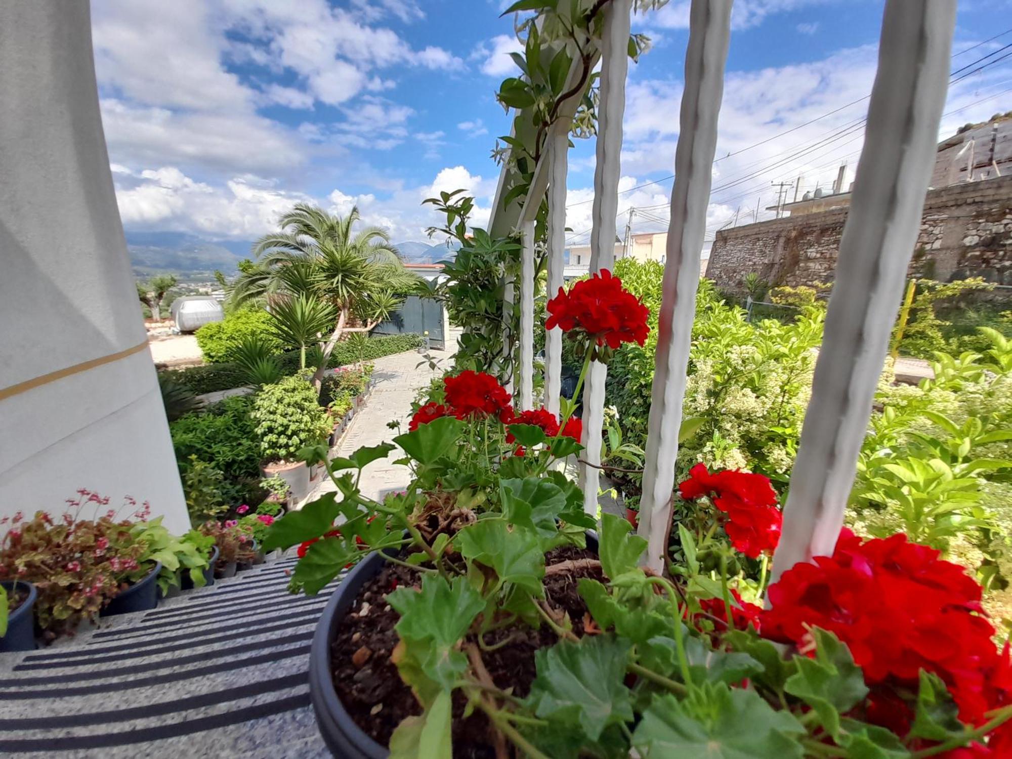 Vila Marjana Sarandë 외부 사진
