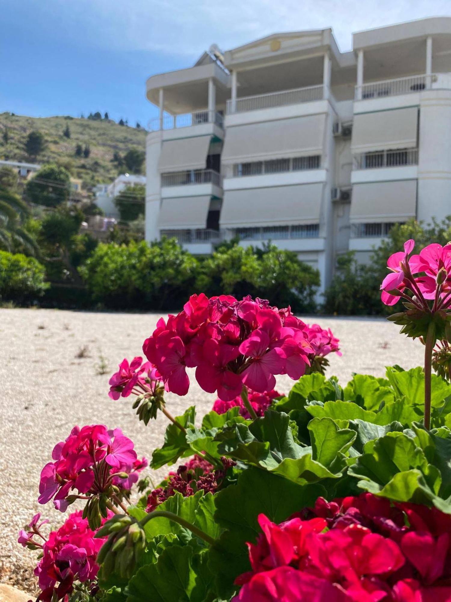 Vila Marjana Sarandë 외부 사진
